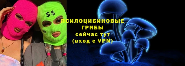 тгк Арсеньев