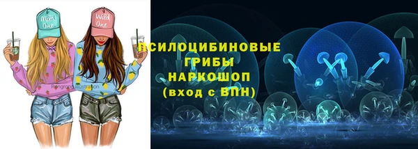 тгк Арсеньев