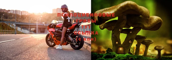 тгк Арсеньев