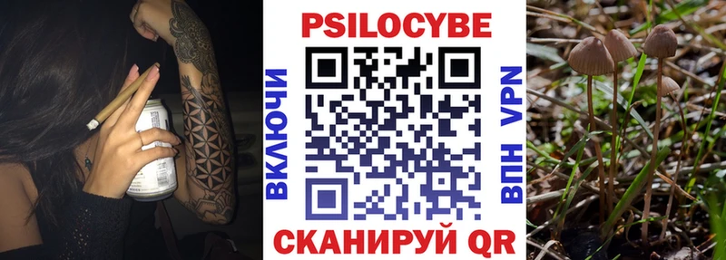 Галлюциногенные грибы мухоморы Приозерск